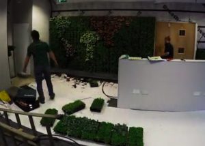 Bord Bia Research Centre