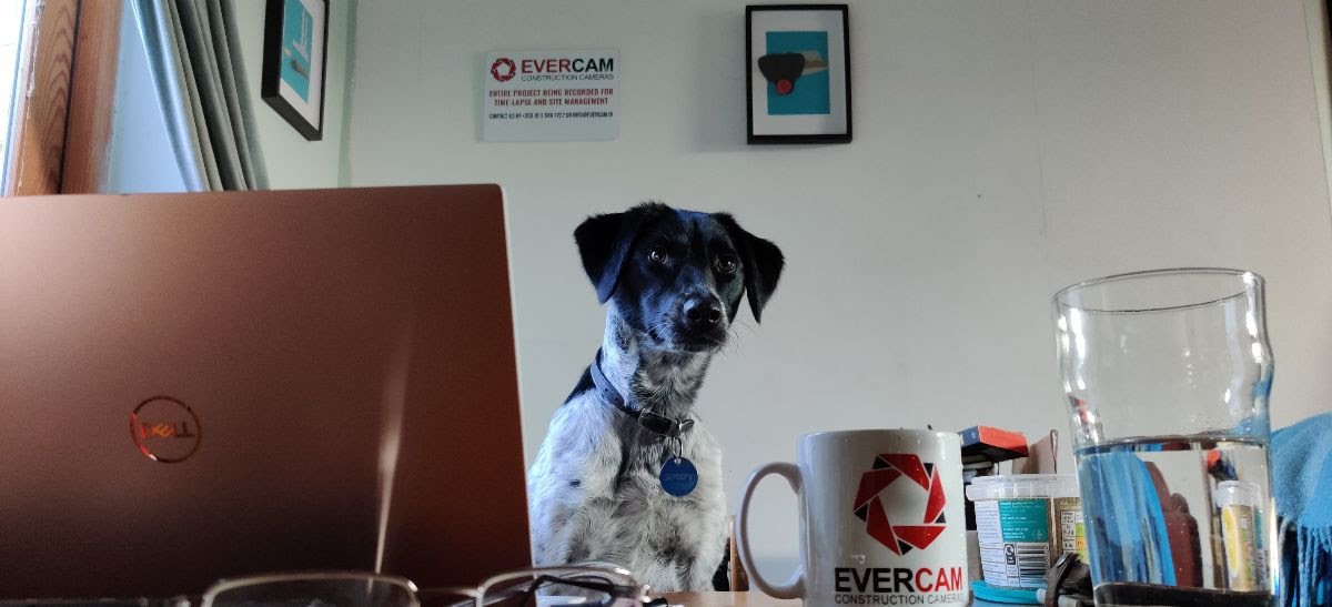 Project monitoring in times of COVID-19